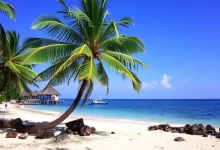 Photo of Отдых на островах: пляжи и теплое море