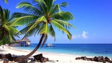 Photo of Отдых на островах: пляжи и теплое море